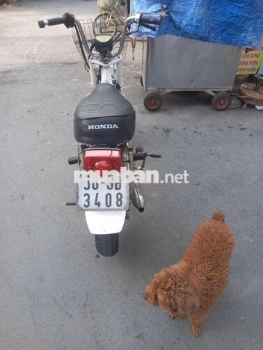 Honda Chaly 81 Trắng