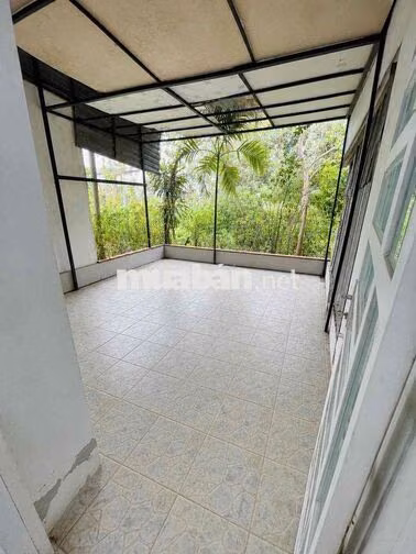 Nhà mới 2 phòng hẻm Hồ Búng Xáng