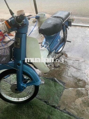 Honda Cup 82 50cc Xanh, trắng 93000 km
