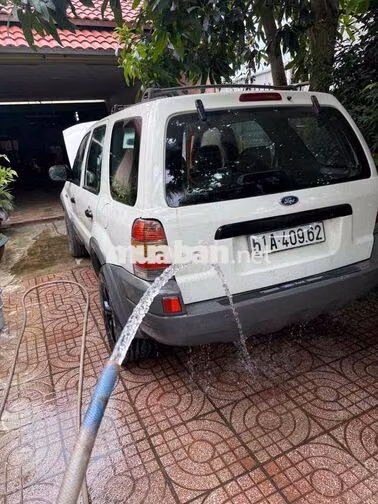 Ford Escape Trắng