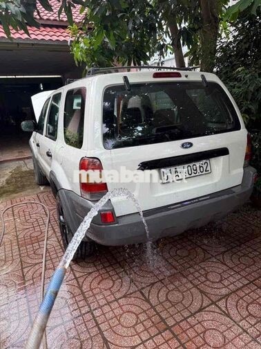Ford Escape Trắng