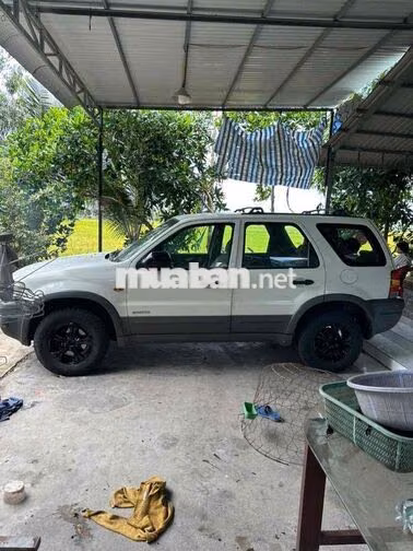 Ford Escape Trắng