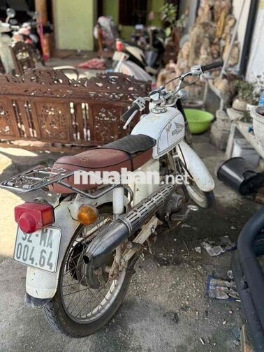 Honda 67 Trắng