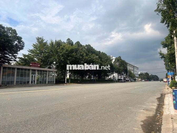 Cho thuê nhà mặt tiền 10x30m đường TC1, phường Thới Hòa, TPHCM
