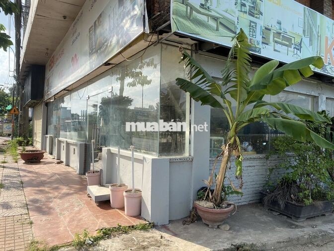 CCho thuê nhà đất MT Long Phước, Long Thành, Đồng Nai. 