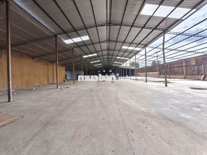 CHO THUÊ XƯỞNG 3000m² GIÁ RẺ TẠI LONG THÀNH ĐỒNG NAI (100tr/tháng)