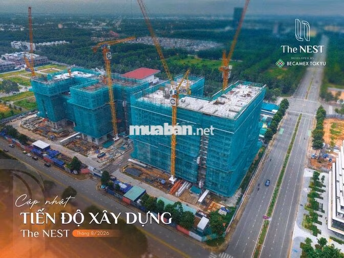 căn hộ The Nest thích hợp đầu tư cho thuê giá 45tr/m2