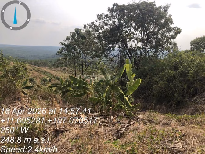 Công ty Đấu giá hợp danh Lam Sơn Sài Gòn thông báo đấu giá tài sản