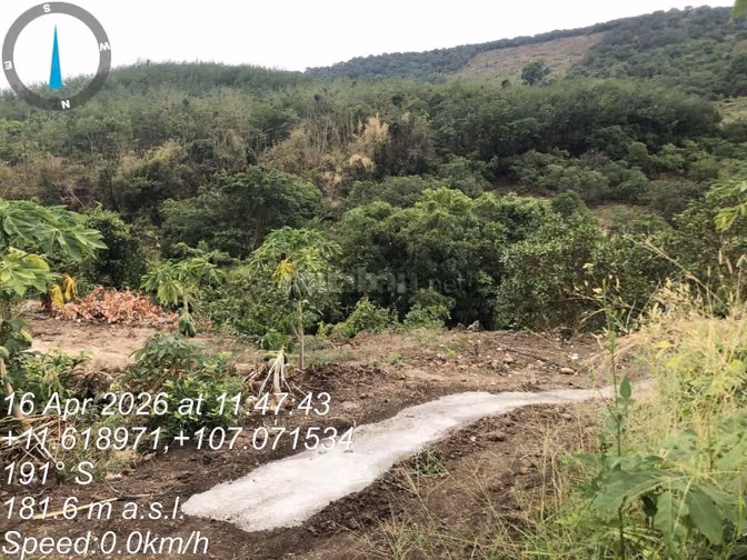 Công ty Đấu giá hợp danh Lam Sơn Sài Gòn thông báo đấu giá tài sản
