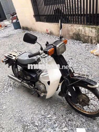 Honda Cub Trắng Xe số