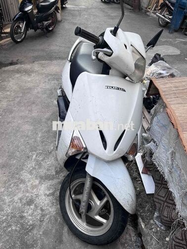 Honda Lead Trắng 2010