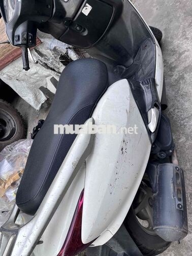 Honda Lead Trắng 2010
