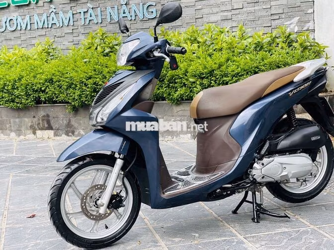 Vision 2020 110cc
