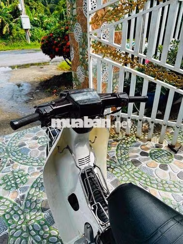 Honda Dream Thái Trắng, Đen Xe số