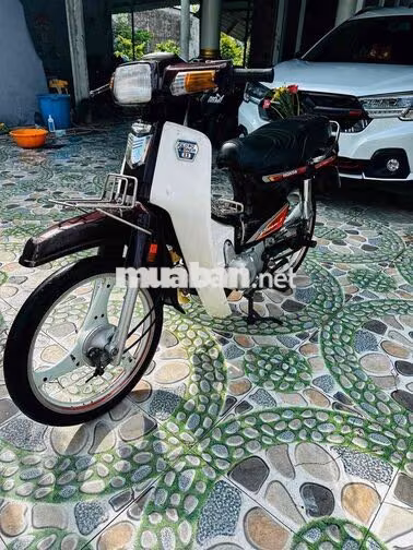 Honda Dream Thái Trắng, Đen Xe số