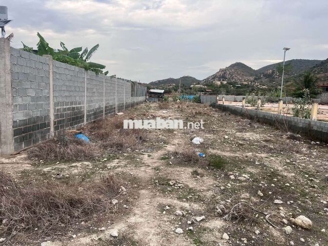 [Chính Chủ] Bán 480m2 Đất, Sổ Đỏ, gần biển - ĐT702 Khánh Tường - K.Hoà