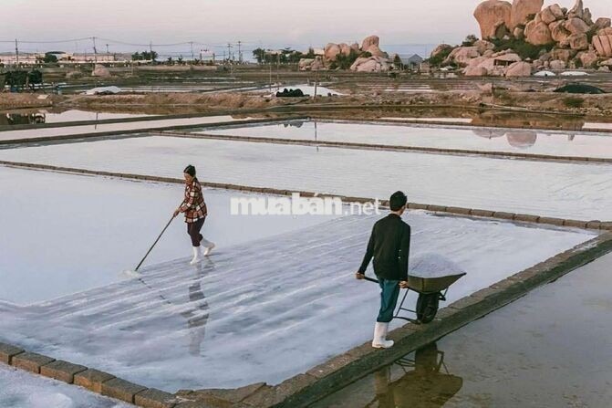 [Chính Chủ] Bán 480m2 Đất, Sổ Đỏ, gần biển - ĐT702 Khánh Tường - K.Hoà