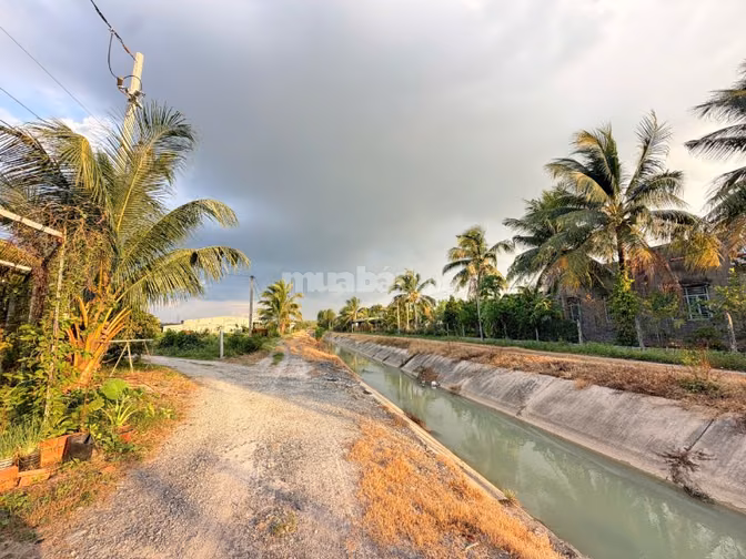 Đất thổ cư Phước Đông. Cách KCN 3km. 250tr 