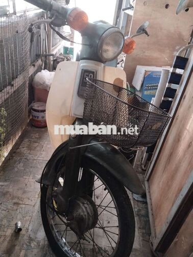 Honda Cub 50 Trắng Xanh