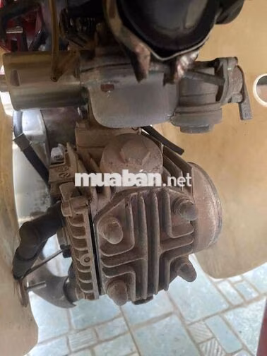 Daelim Cub 2019 Đỏ Trắng 50cc