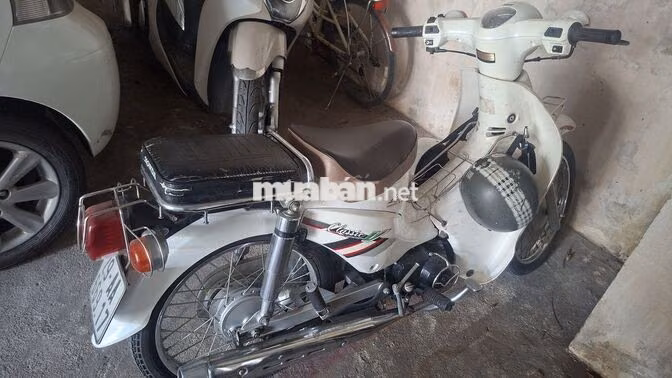 Cần bán Cub C50 2019 Trắng