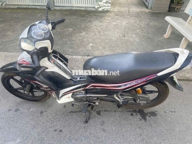 Yamaha Jupiter RC 2011 Đen trắng