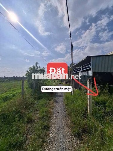 Chính chủ cần bán nhanh lô đất 5x25m (thổ cư 50m2) có sổ sẵn