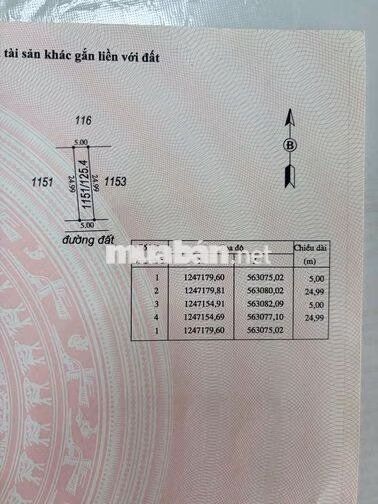 Chính chủ cần bán nhanh lô đất 5x25m (thổ cư 50m2) có sổ sẵn