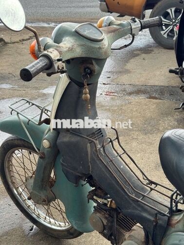 Honda Cub 81 Xanh Cổ điển