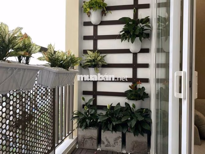 Cho thuê saigon Mia 3 phòng ngủ 76m2 giá 15- 16tr Siêu hót ạ