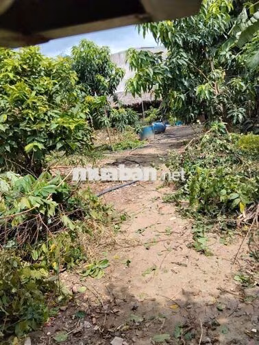 Nhà vườn 600m Có Nhà Điện nước nhà nước  Đường Võ Văn Vân vĩnh lộc B 