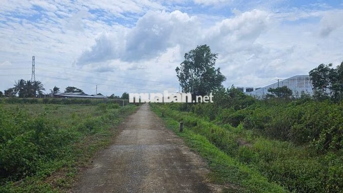 Đất thổ cư ngay KCN Phước Đông. 6x18 chỉ 620tr