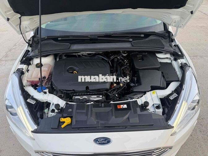 Ford Focus 1.5AT Titanium 2018 Trắng Tự động