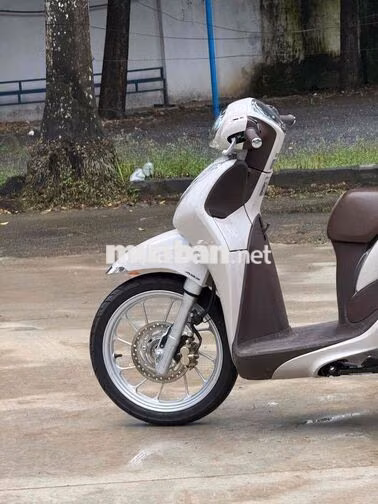 Honda SH Mode 2021 Trắng