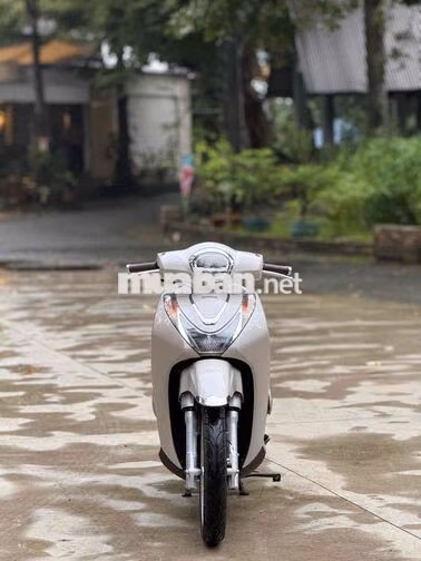 Honda SH Mode 2021 Trắng