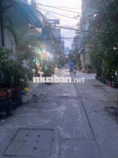 Nhà cho thuê Lạc Long Quân giá hạt dẻ