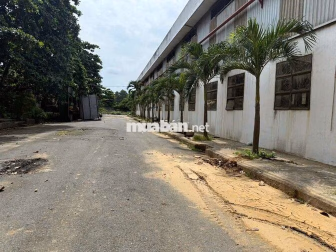 CHO THUÊ XƯỞNG 4200m2 TRONG KCN TAM PHƯỚC BIÊN HÒA ĐỒNG NAI
