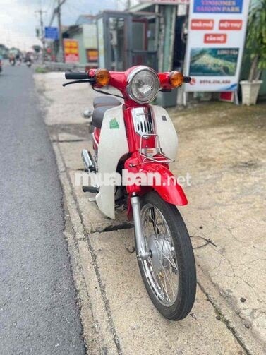 Honda Cub 50cc Đỏ 2024