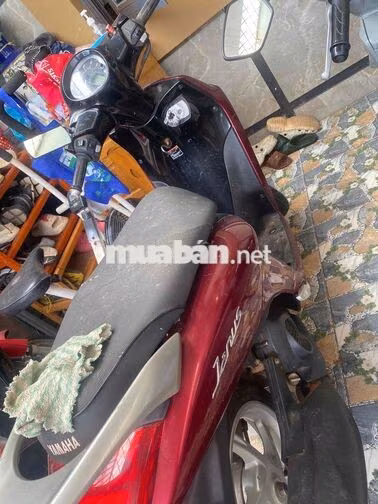 Yamaha Janus Đỏ Xe tay ga