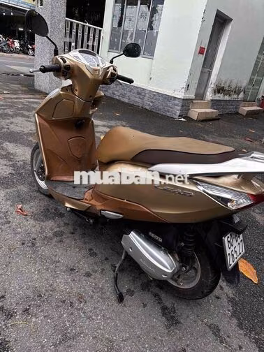 Honda Lead Vàng đồng