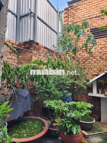 Nhà Trung Chánh 100m² Cần Bán Nhanh Giá Tốt . 