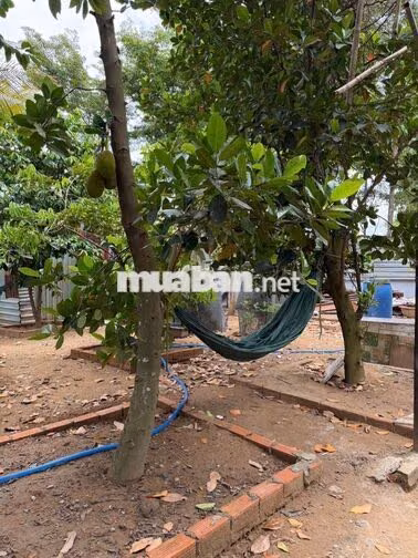 CHO THUÊ NHÀ NGUYÊN CĂN MỚI NHƯ HÌNH – HIỆP THÀNH, Q12
