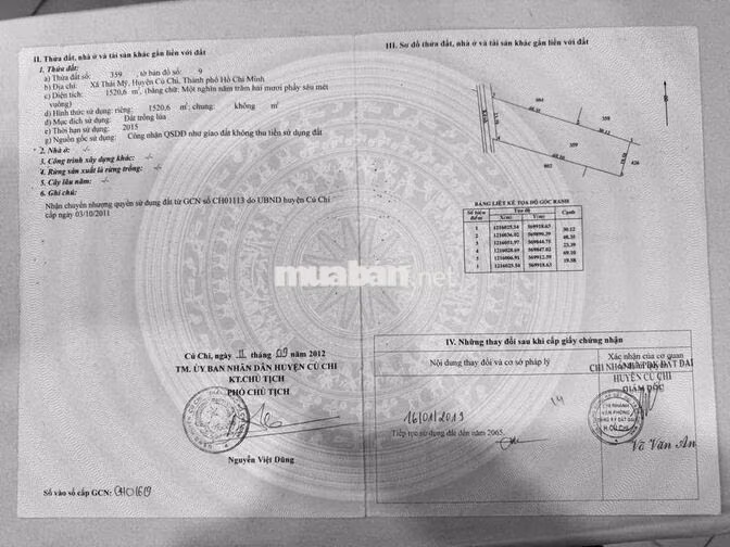 BÁN ĐẤT NÔNG NGHIỆP PHƯỜNG THÁI MỸ, CỦ CHI, TP. HỒ CHÍ MINH