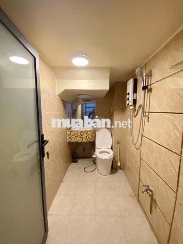 Chính chủ bán gấp nhà có dòng tiền 500tr/ năm cạnh Phú Mỹ Hưng Quận 7