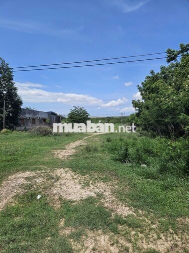 CHÍNH CHỦ BÁN ĐẤT TRẠM SẠC MẶT TIỀN QL1A–DT: 3036m2🔥Giá tốt 3,9 tỷ