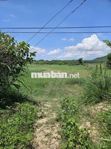 CHÍNH CHỦ BÁN ĐẤT TRẠM SẠC MẶT TIỀN QL1A–DT: 3036m2🔥Giá tốt 3,9 tỷ