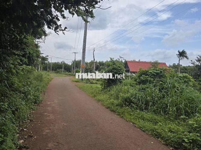 BÁN ĐẤT ĐẤT ĐỎ CÁCH ĐƯỜNG 765 CHỈ 300M GIÁ 650TR
