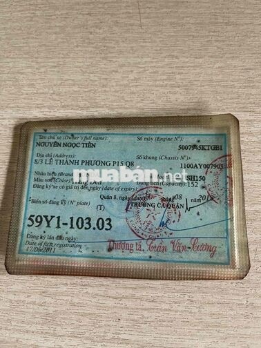 Honda SH Trắng Xe tay ga