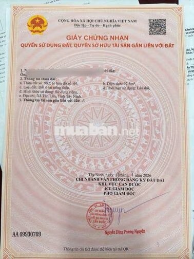 Bán Gấp Nền 92m2 Thổ Cư Đường Ô Tô Gần Ngã 3 Tân Lân