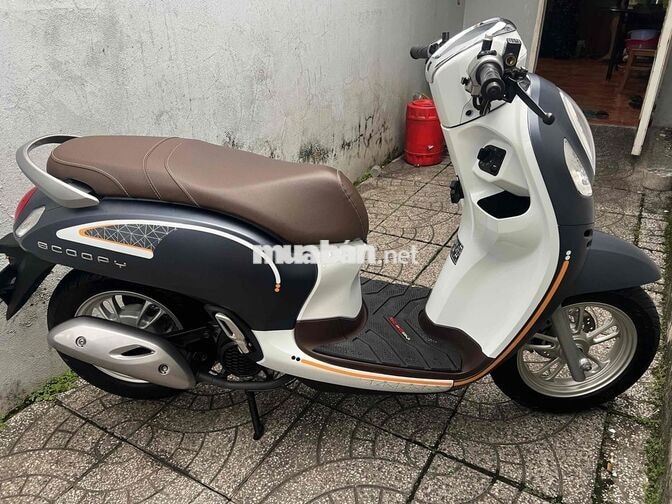 4c scoopy bs65 zin cực đẹp